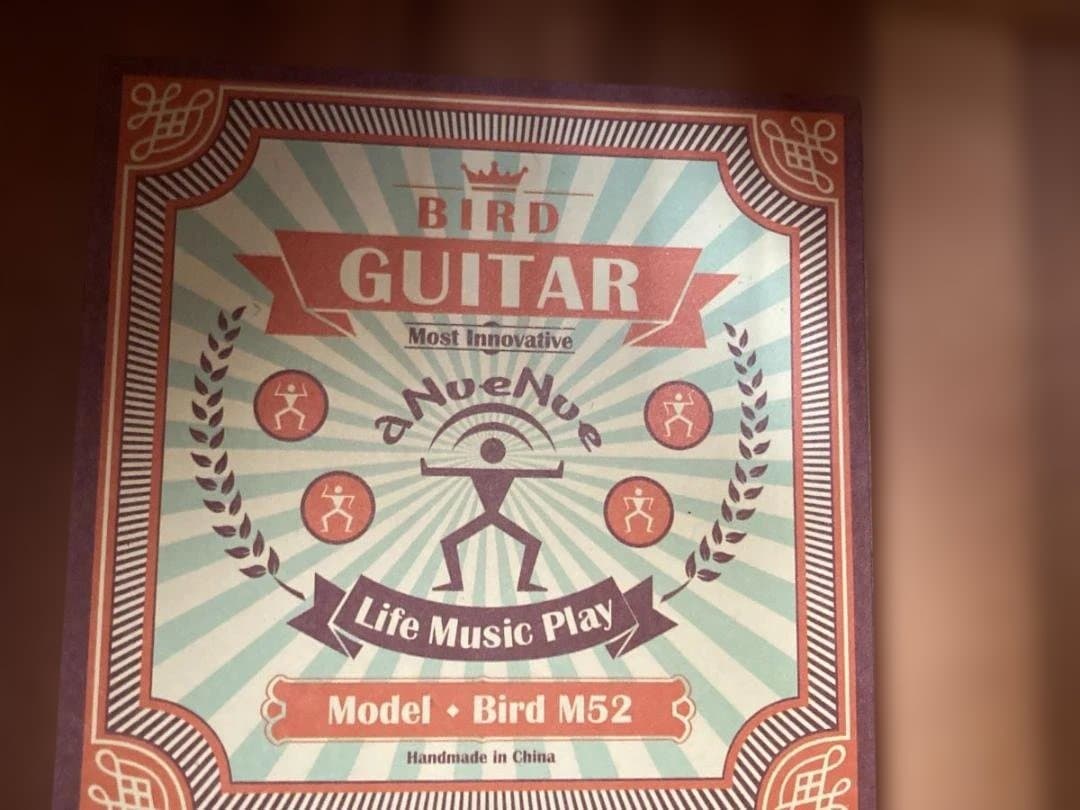 ギター aNueNue Bird Guitar M52