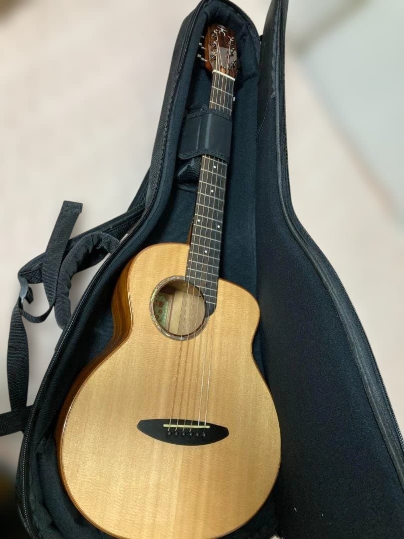 ギター aNueNue Bird Guitar M52