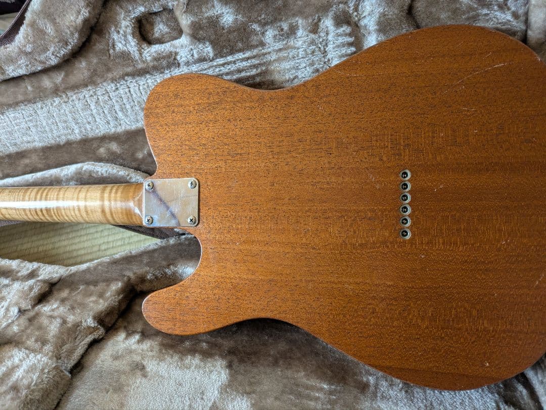 hts guitars シンラインタイプ