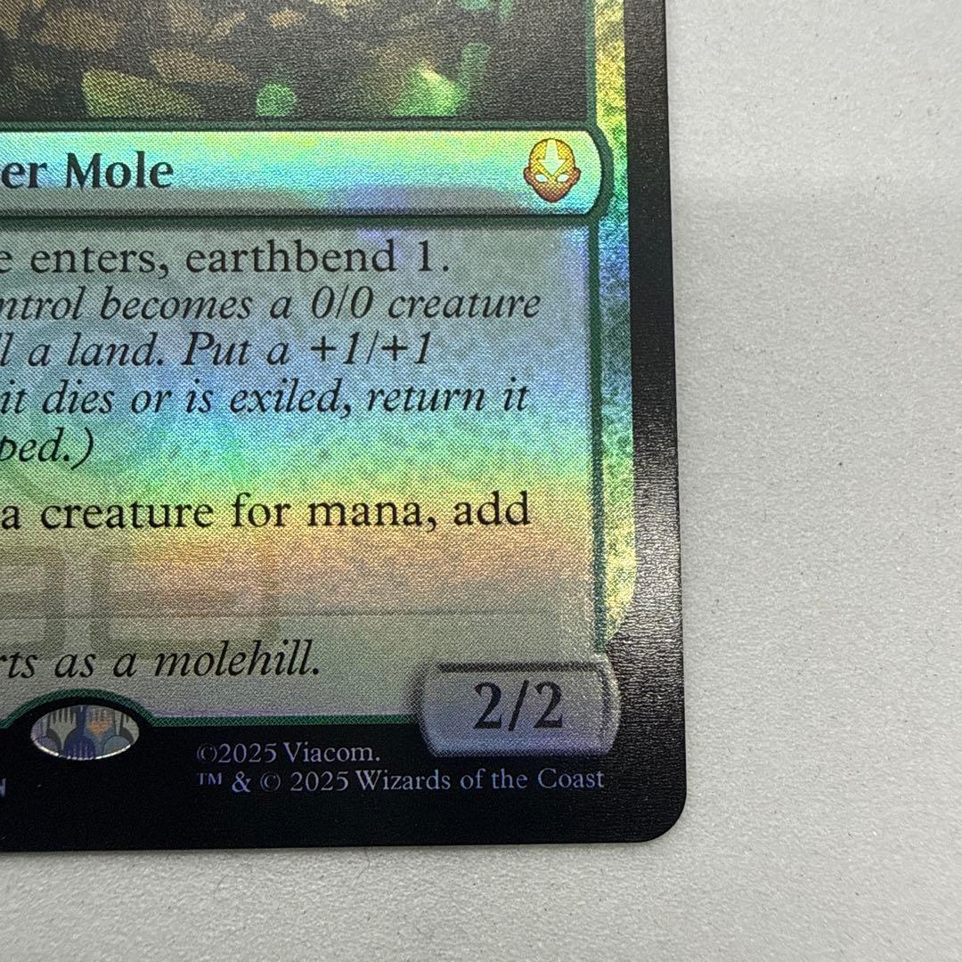 MTG アナグマモグラの仔 / Badgermole Cub 英語版foil