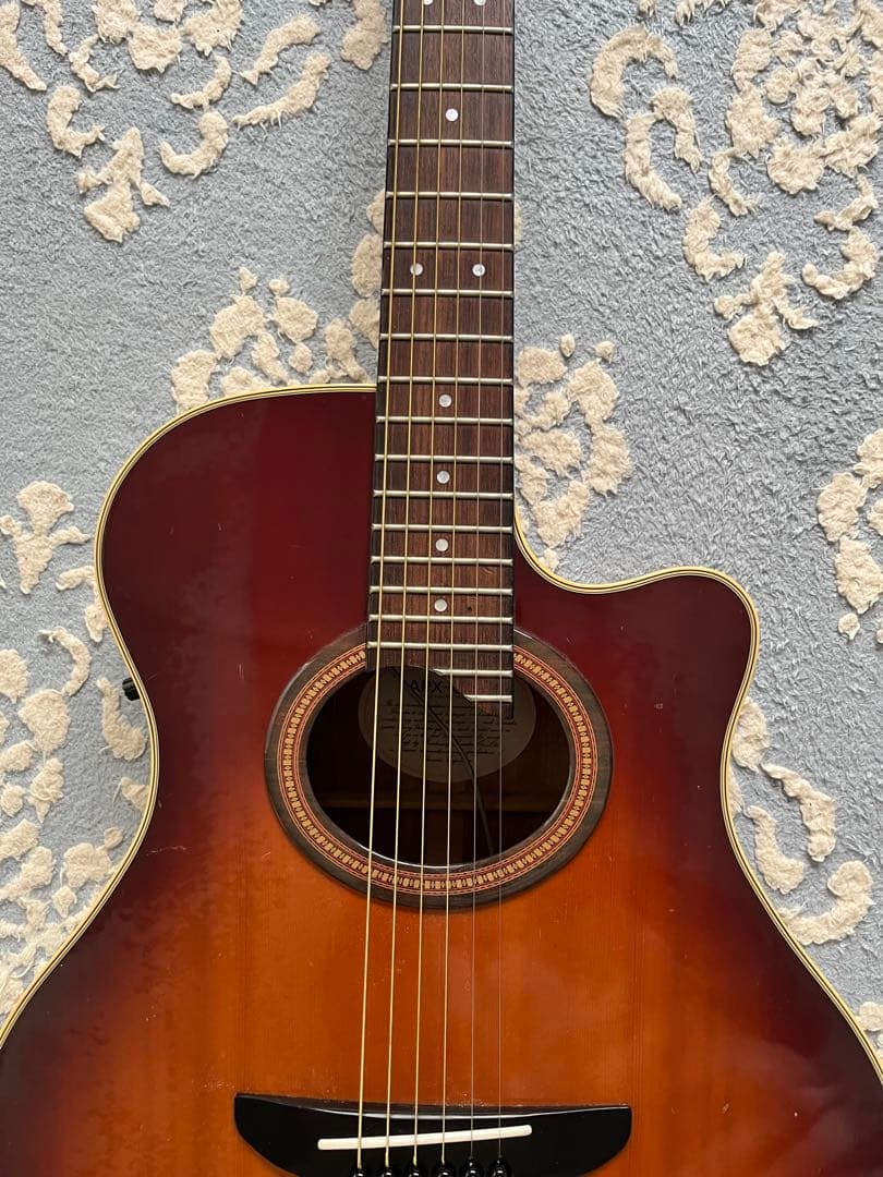 Yamaha APXー6SA