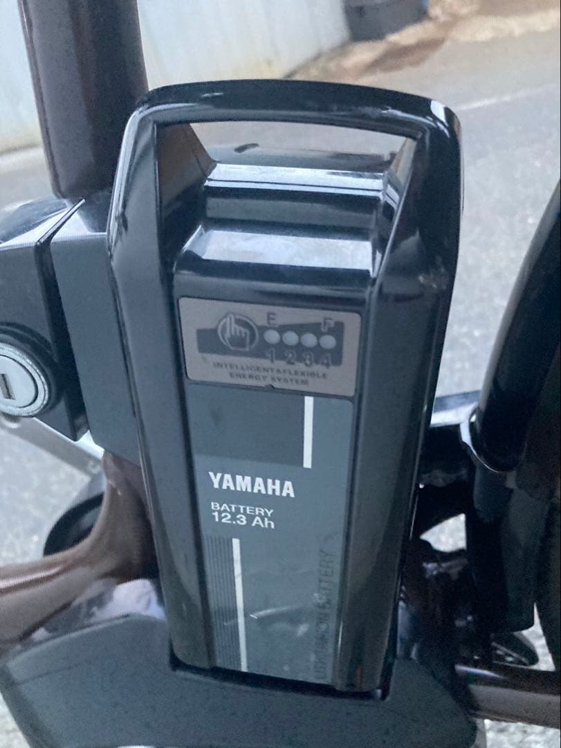 1833業界最長12ヶ月保証付！送料無料エリア多数！安全整備済み！電動自転車
