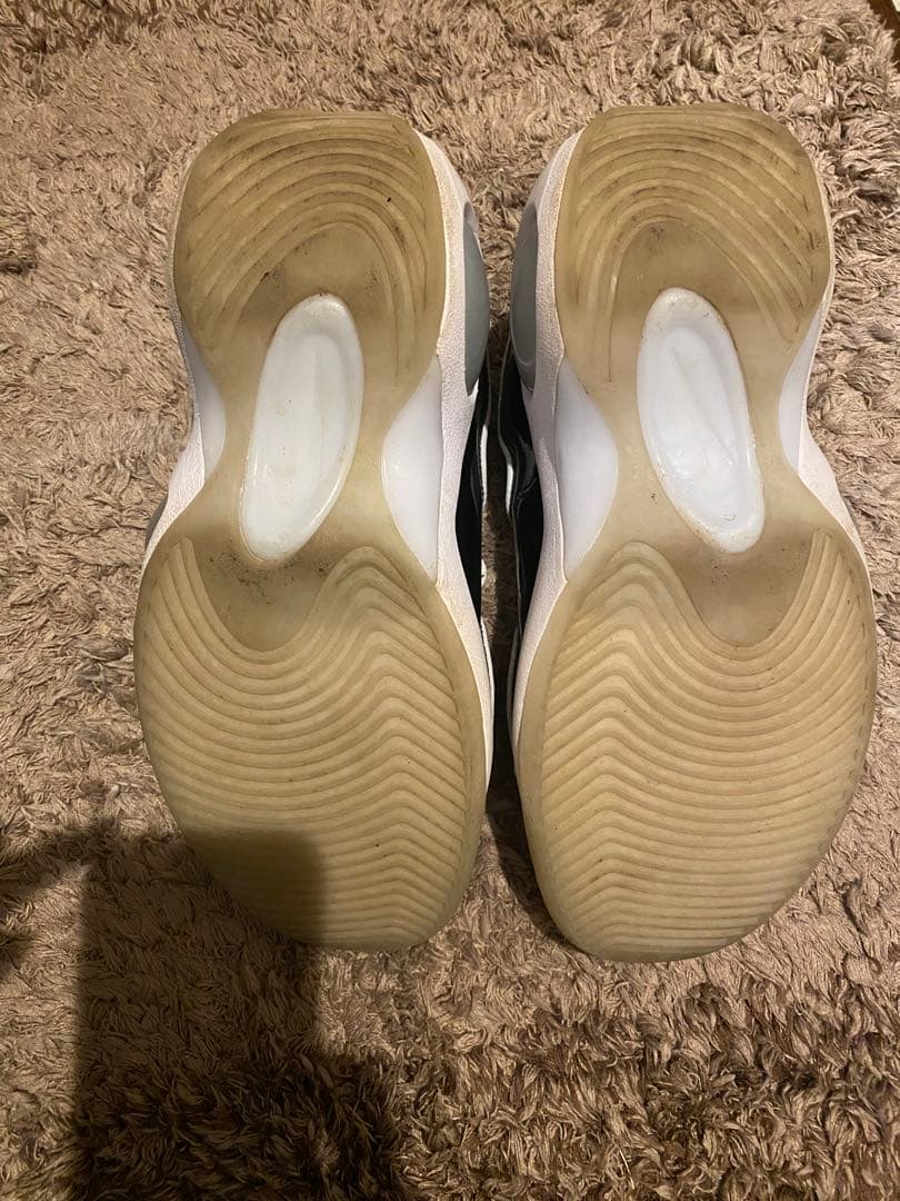 NIKE ズームフライト95 25cm