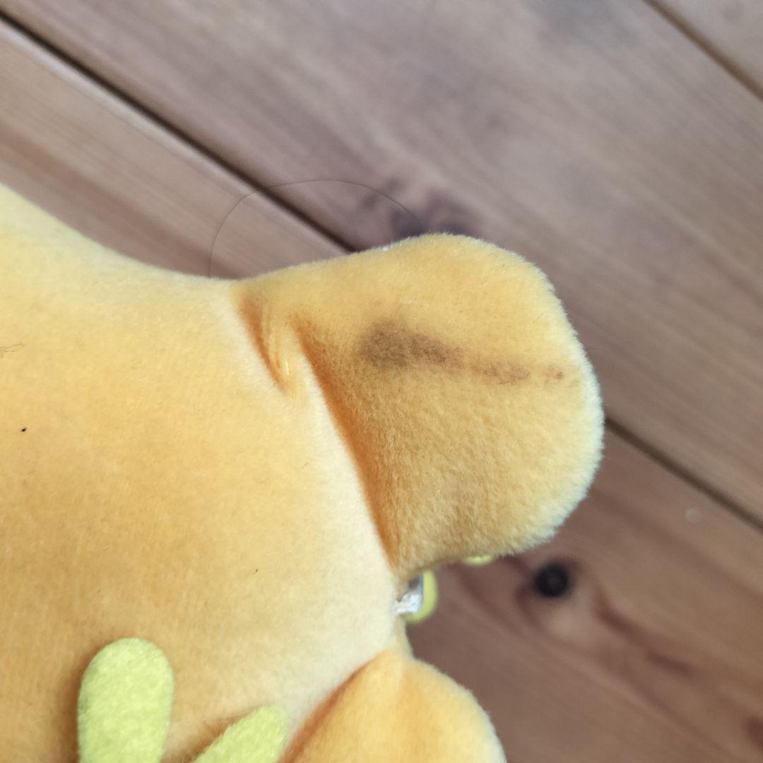 ハローキティ 千葉県限定の房総バージョンぬいぐるみ
