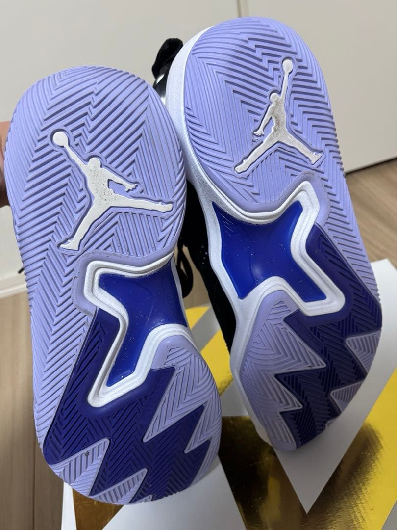 NIKE ナイキ ジョーダン ワンテイク4 PF 美品 バッシュ