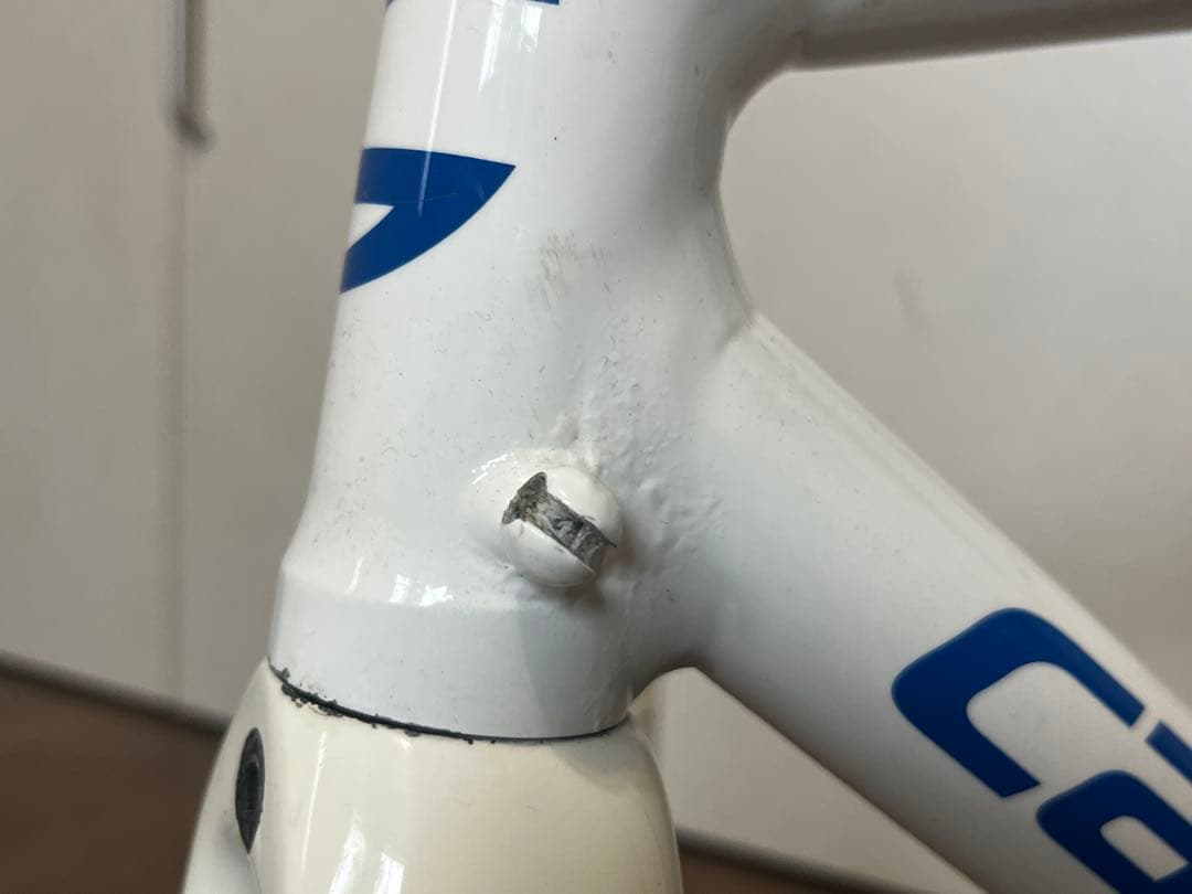 cannondale CAAD9 フレームセット Liquigas