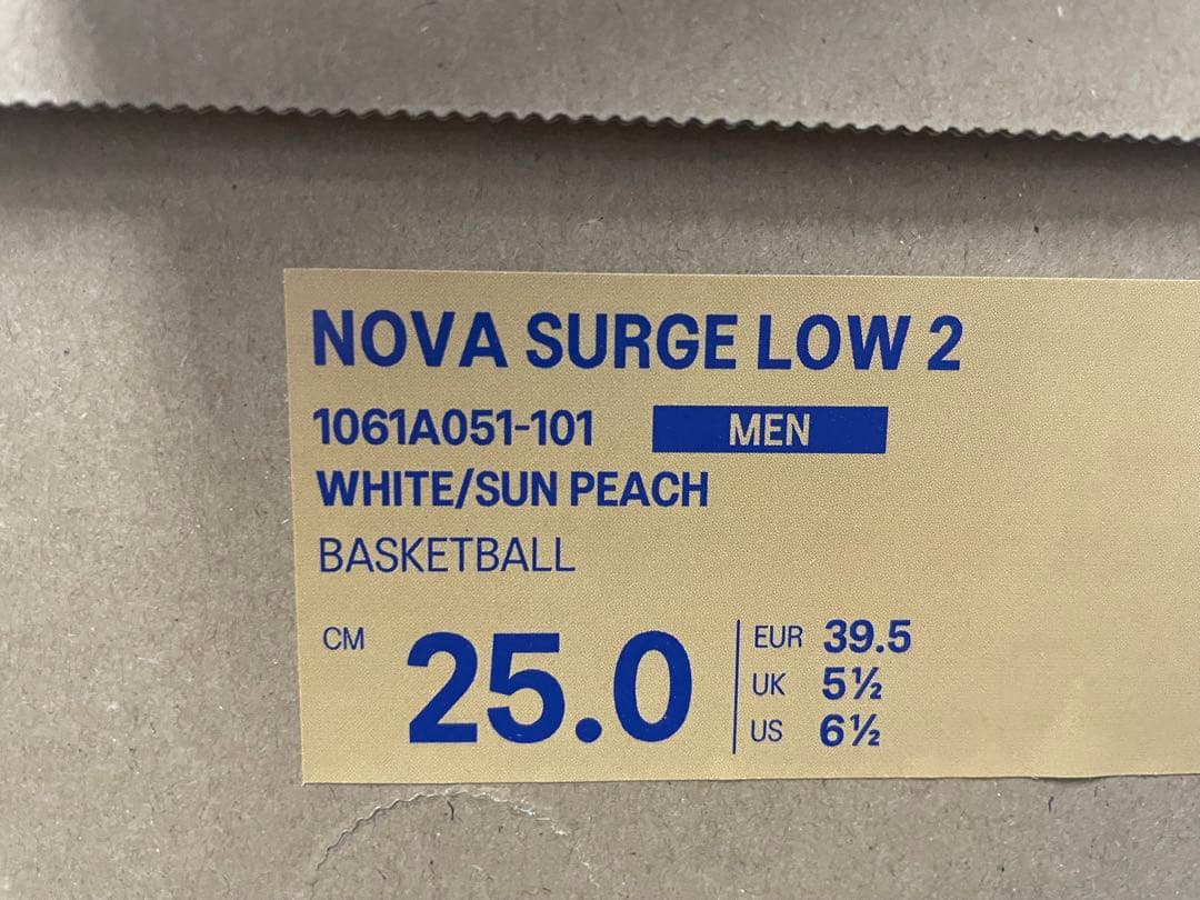 シューズ(男性用) NOVA SURGE LOW 2 25cm