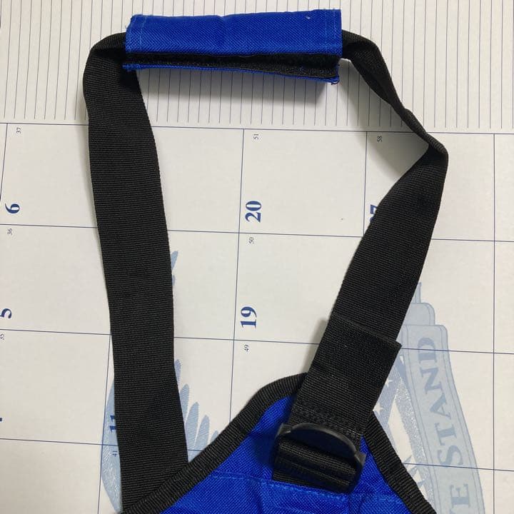 COSTOCO バッグ　ナイロン製　買物バック・エコバッグ・アウトドアバック