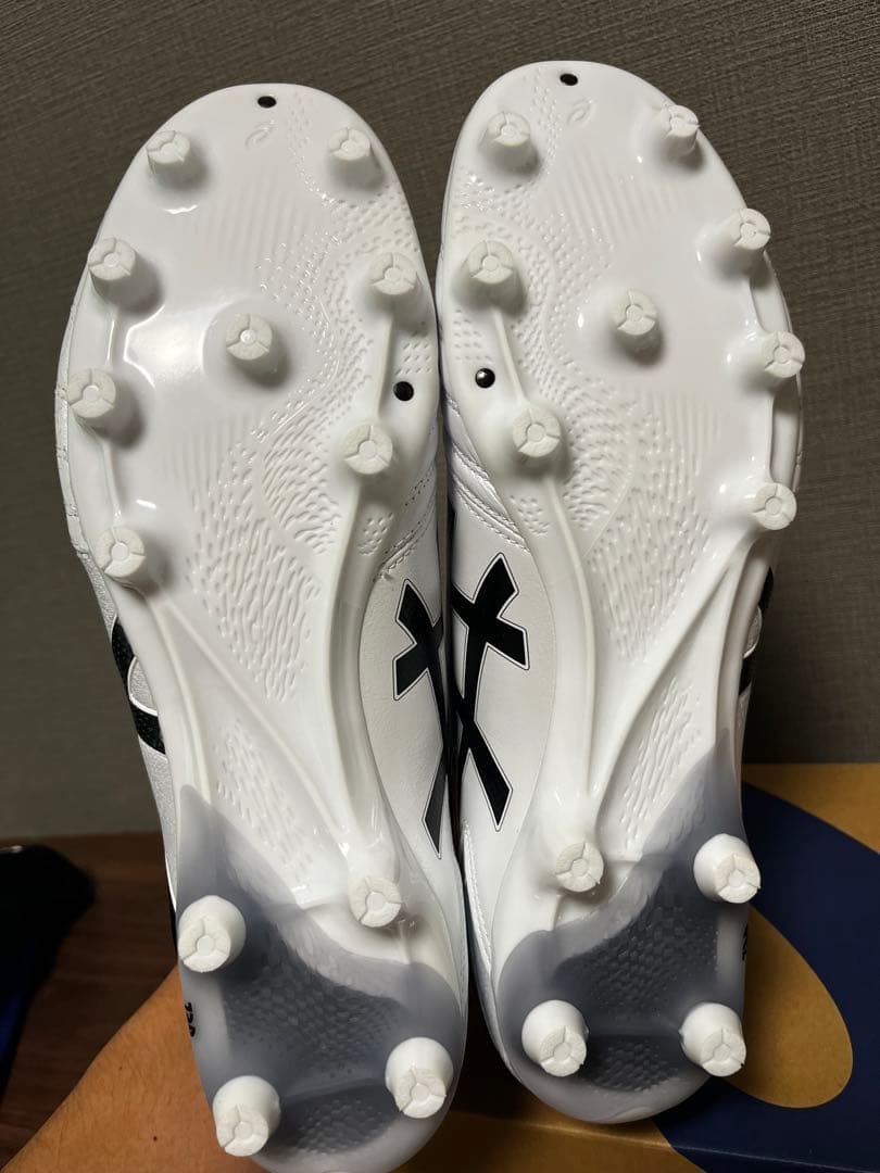 ASICS DS LIGHT PRO 30.0㎝