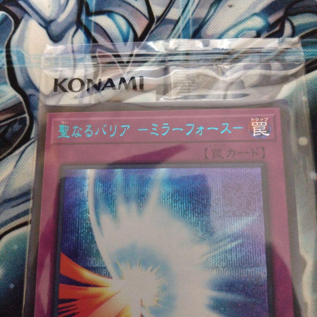 聖なるバリアミラーフォース　ブルシク