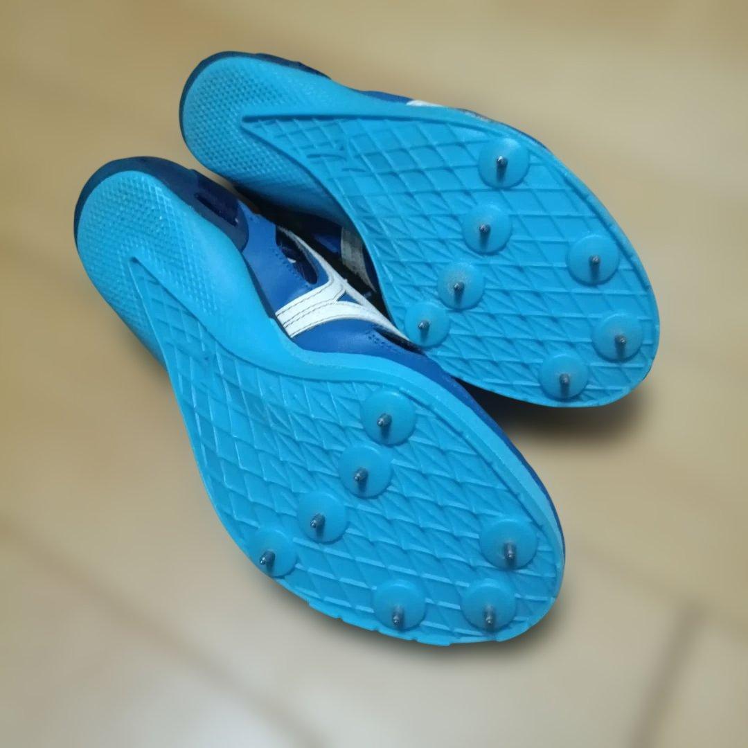 クロノインクスネオジャパン 23.0cm