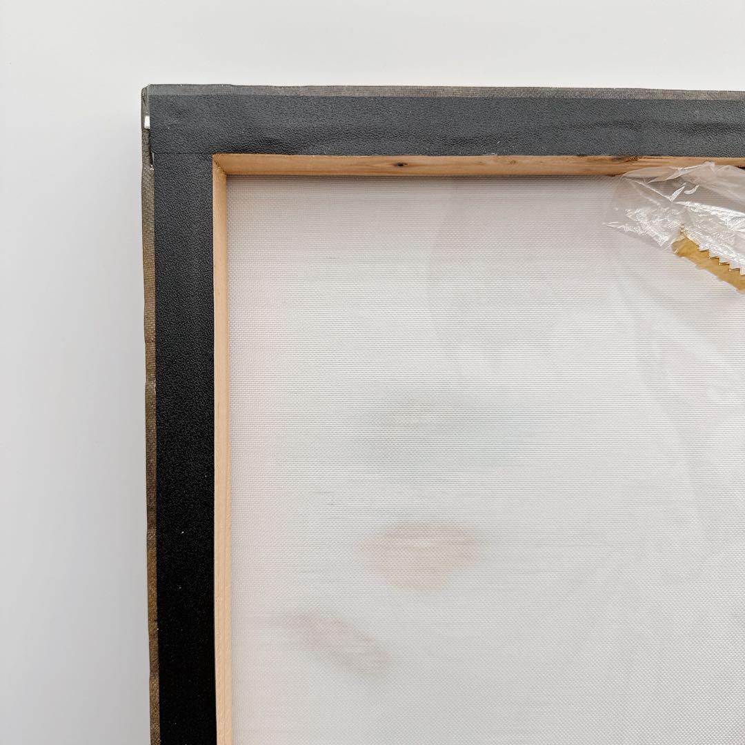 天野喜孝 ドロンジョ キャンバスアート 額装済み タツノコプロ 完売品