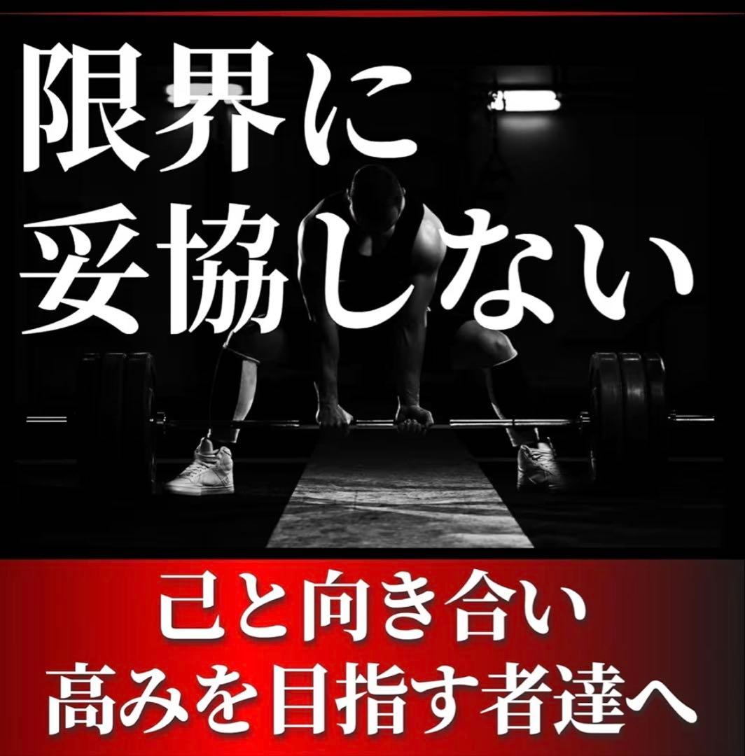 ★送料無料★バンパープレート★15kg 2枚 50mm オリンピックバー用 黒
