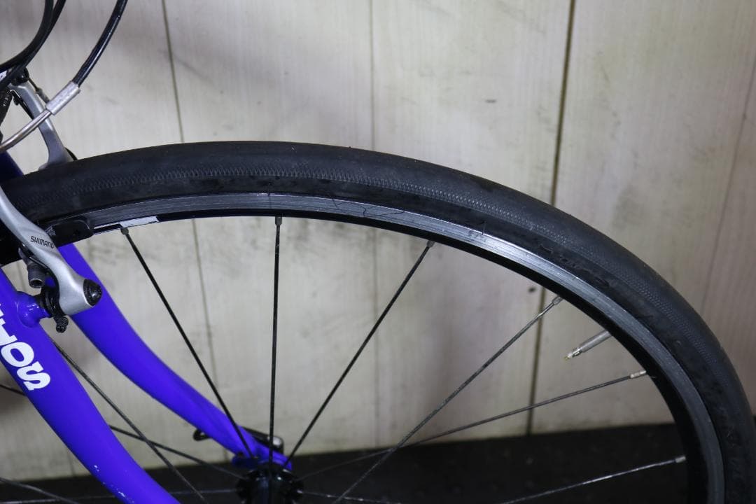 自転車本体 inukijisaru