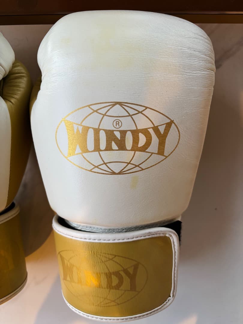 WINDY 14oz ボクシンググローブ 白×金