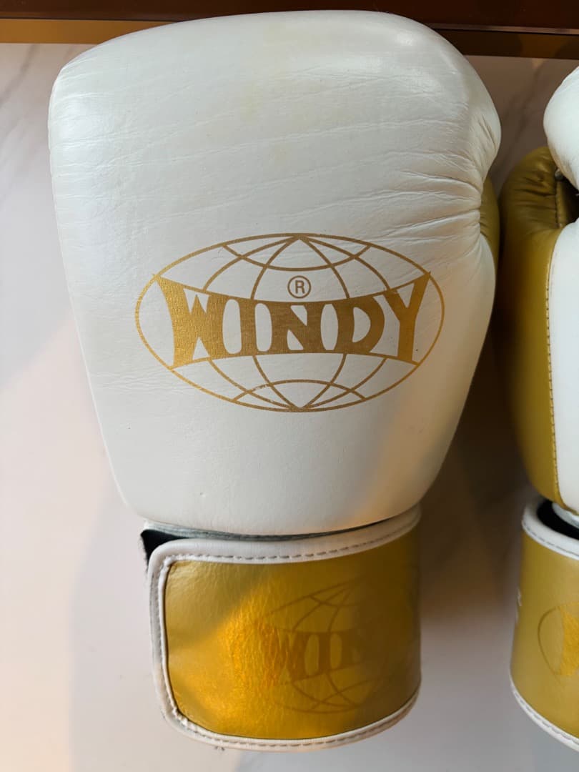 WINDY 14oz ボクシンググローブ 白×金