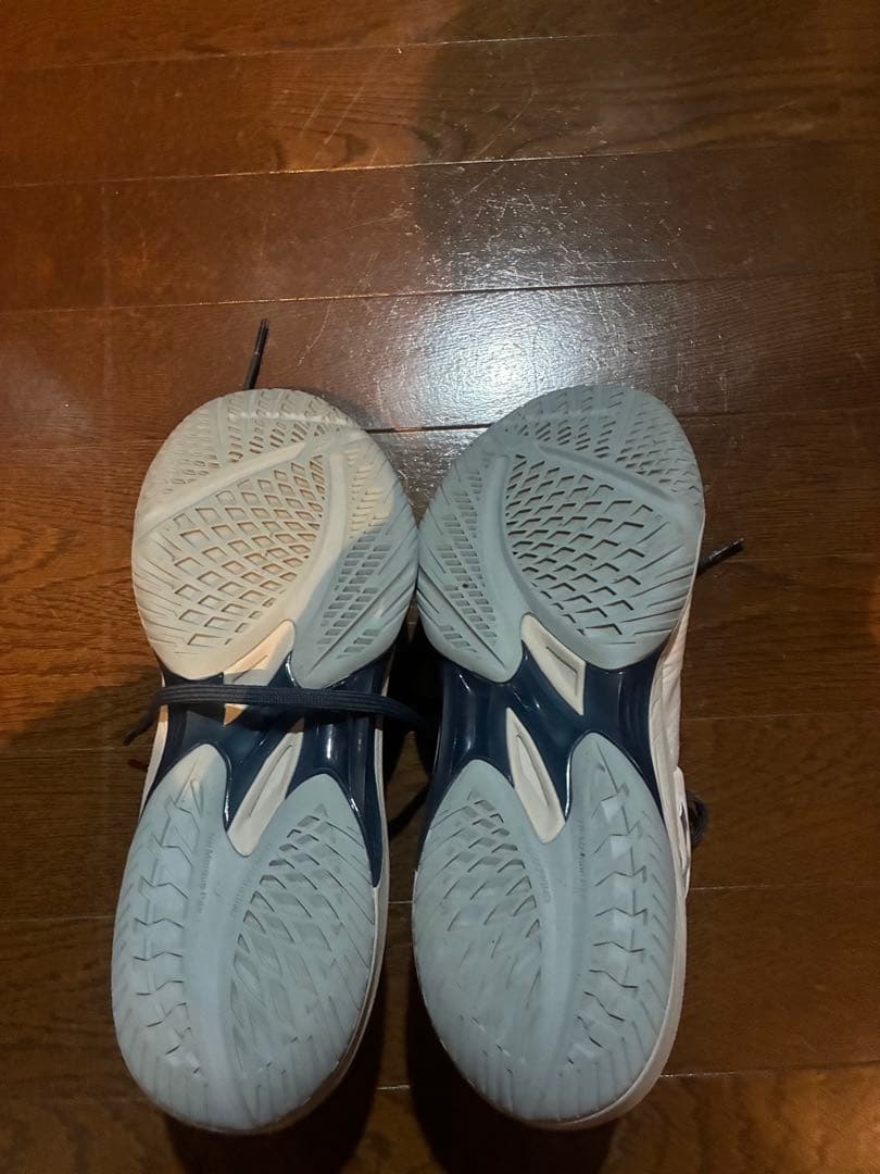 アシックス　スカイエリートff3 28cm
