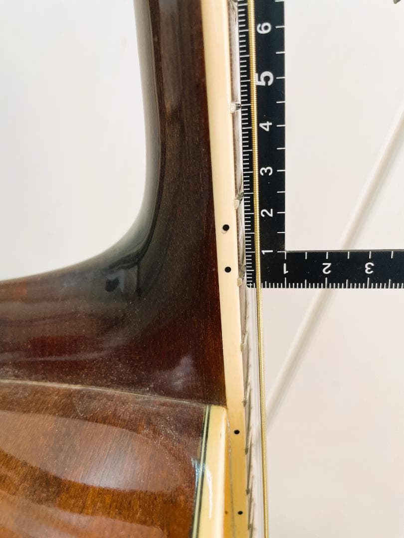 Pro Martin プロマーチン W300N アコースティックギター