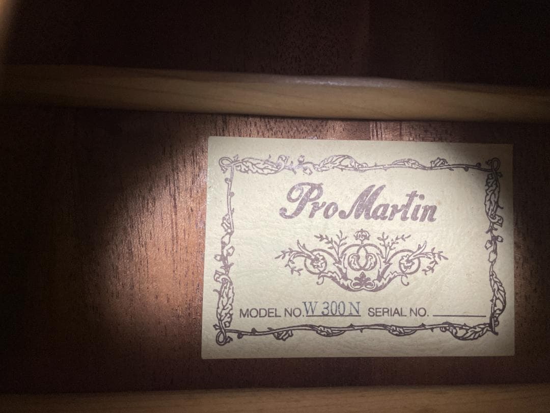 Pro Martin プロマーチン W300N アコースティックギター