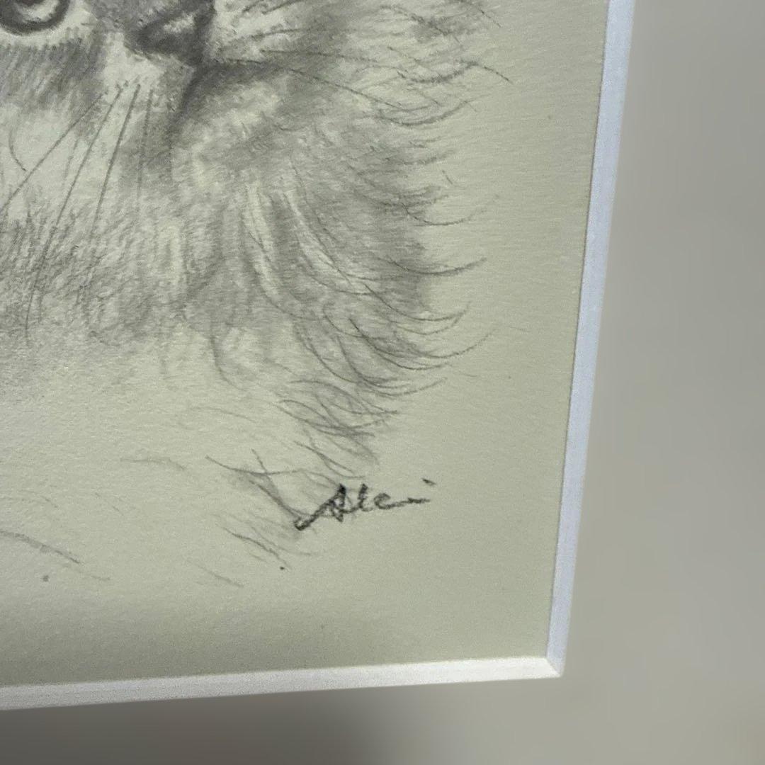 八代亜紀さん猫の鉛筆画デッサンリトグラフ　八つ切り「チビたん」