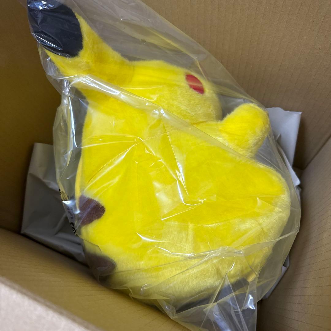 ポケットモンスター　おかえり!ピカチュウ1/1 ポケモン30周年記念