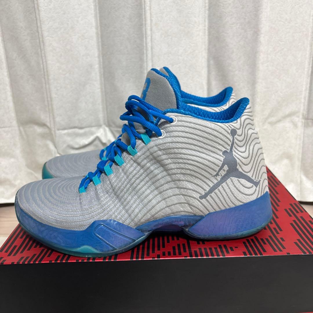 シューズ(男性用) Air Jordan XX9 play off pack/28.0