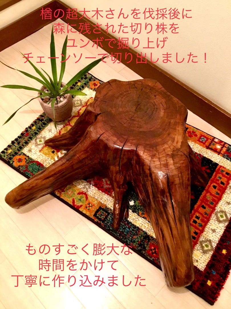 天然楢の木＊根本部分【森の王様の切り株テーブル】テーブル＊ちゃぶ台＊インテリア台