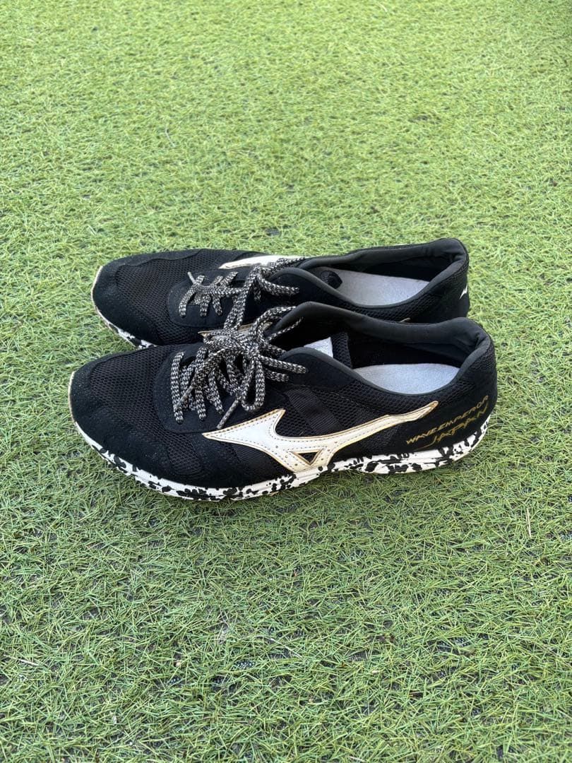 MIZUNOウエーブエンペラーJAPAN 24.5