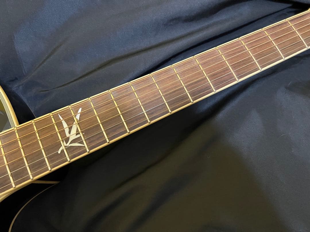 激レアepiphone pr5e mv エレアコ　エピフォン　レアハードケース付