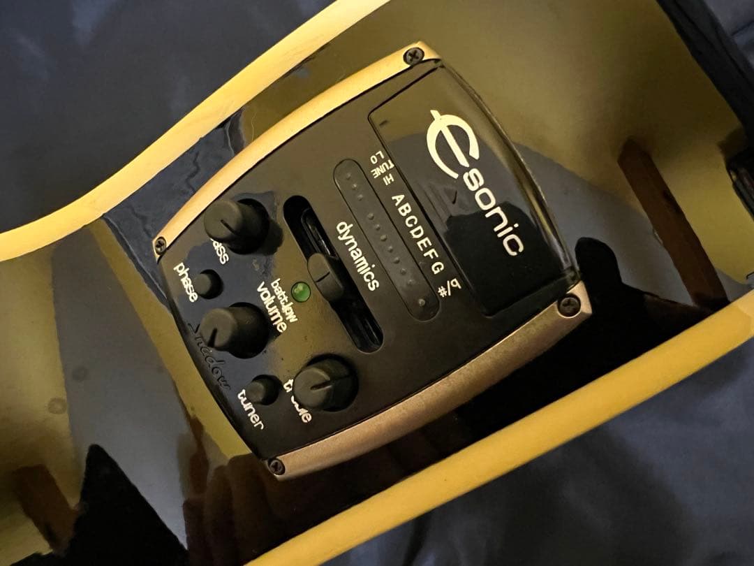 激レアepiphone pr5e mv エレアコ　エピフォン　レアハードケース付