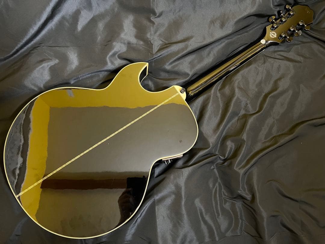 激レアepiphone pr5e mv エレアコ　エピフォン　レアハードケース付