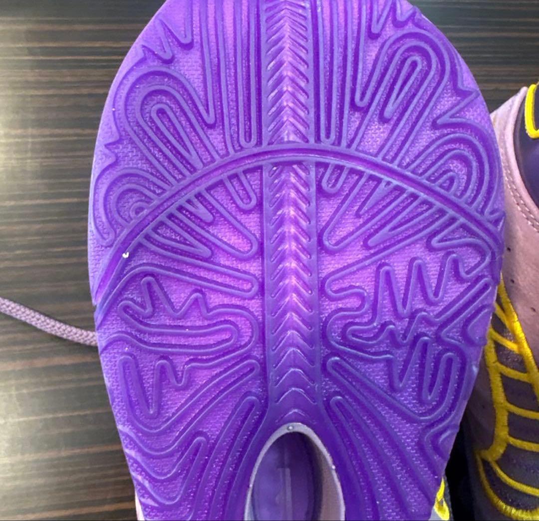 シューズ(男性用) lebron 21 EP 29cm