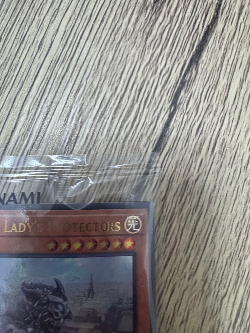 遊戯王OCG The Lady's Protectors 未開封