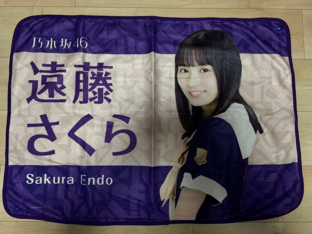 【商品説明必読‼️】遠藤さくらまとめ売り