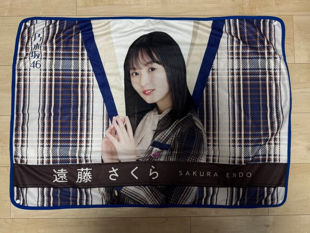 【商品説明必読‼️】遠藤さくらまとめ売り