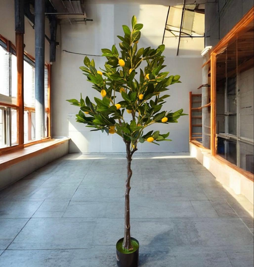 光触媒　人工観葉植物　ウォールグリーン　フェイクグリーン　レモンの木16065