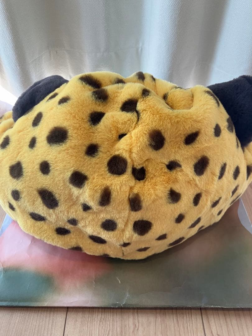 クロウハウザー　ファンキャップ