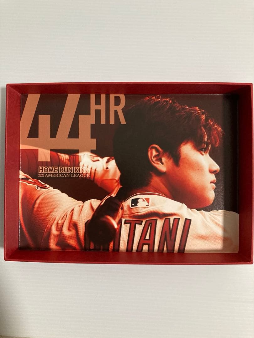 ★大谷翔平ホームラン王＆MVP獲得記念 Laurett’s Two-Wayペン