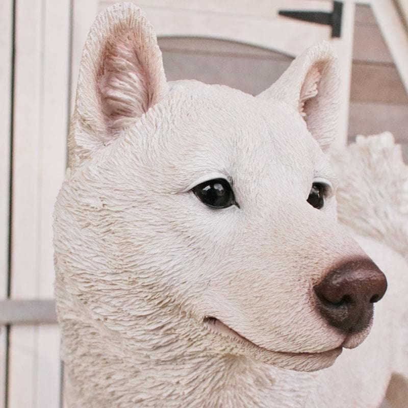 白い柴犬 置物 オブジェ かわいい インテリア 375-222