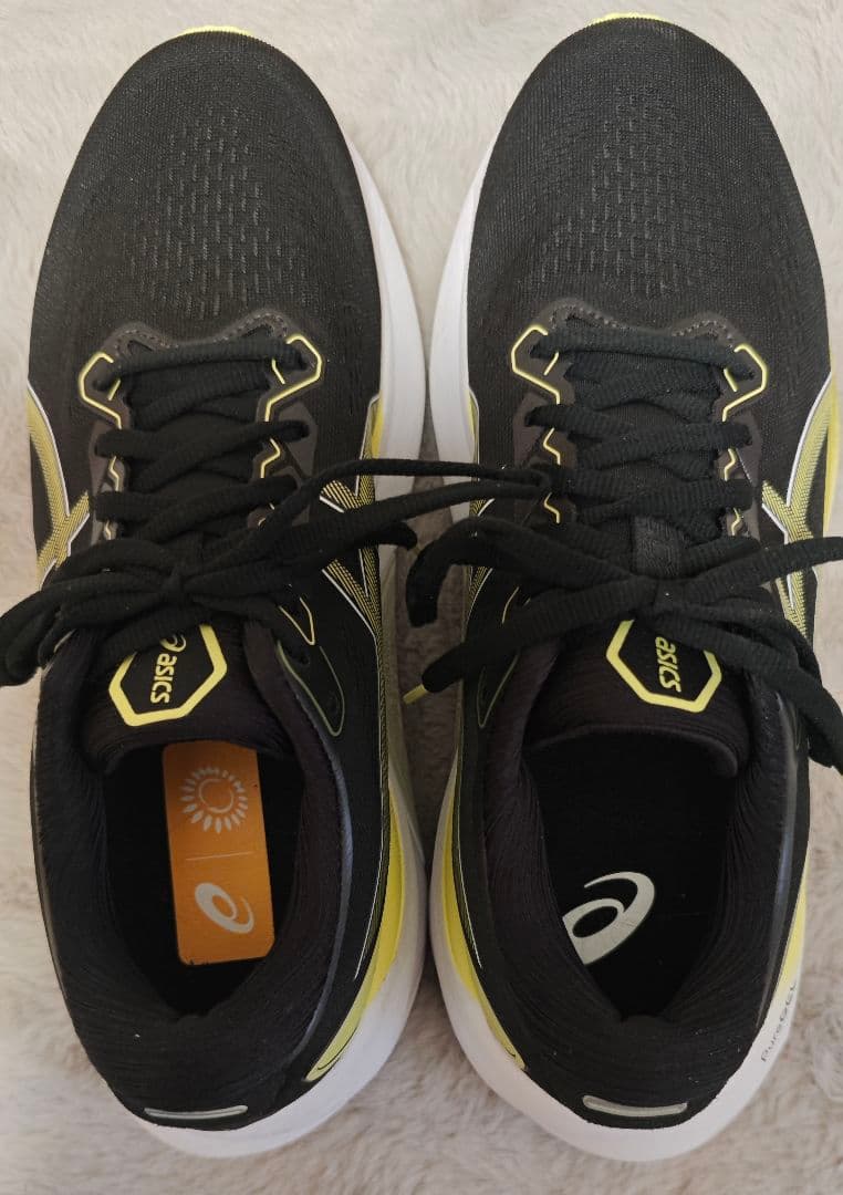 アシックス asics GEL-KAYANO 30 27cm ランニングシューズ
