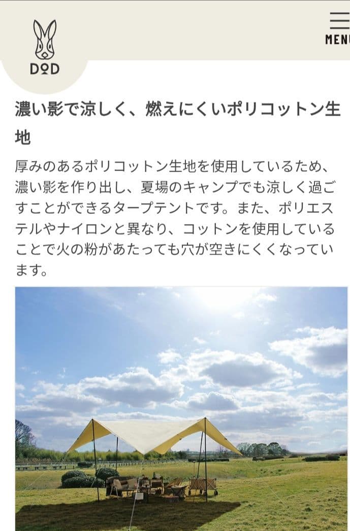 短時間利用DOD チーズタープ TT10-492-BG ＆ビッグタープポール4本