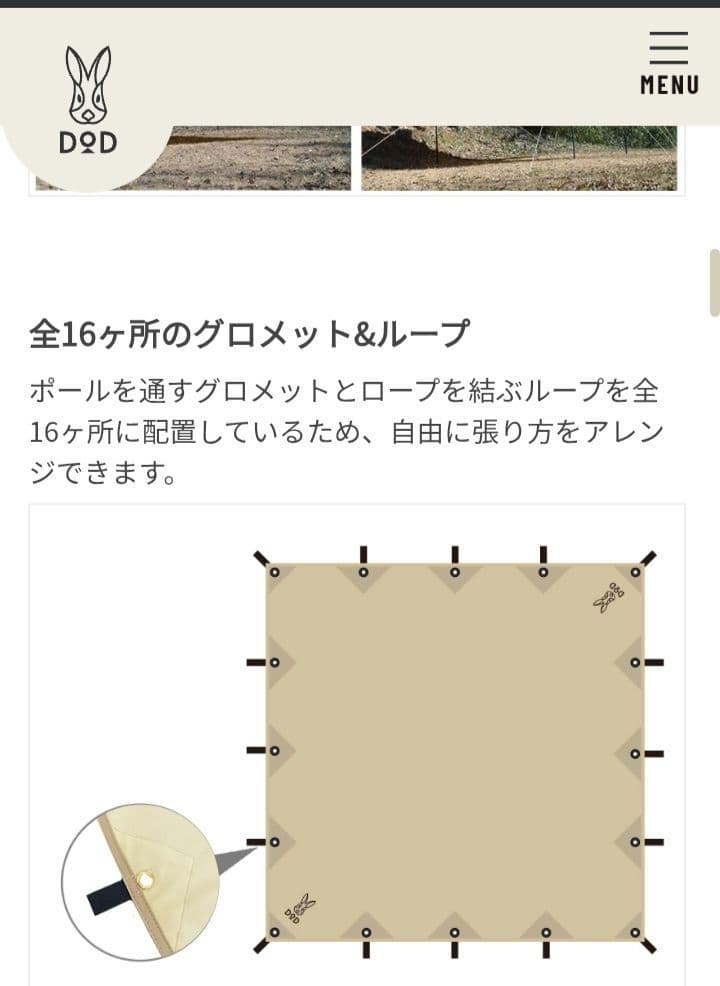 短時間利用DOD チーズタープ TT10-492-BG ＆ビッグタープポール4本