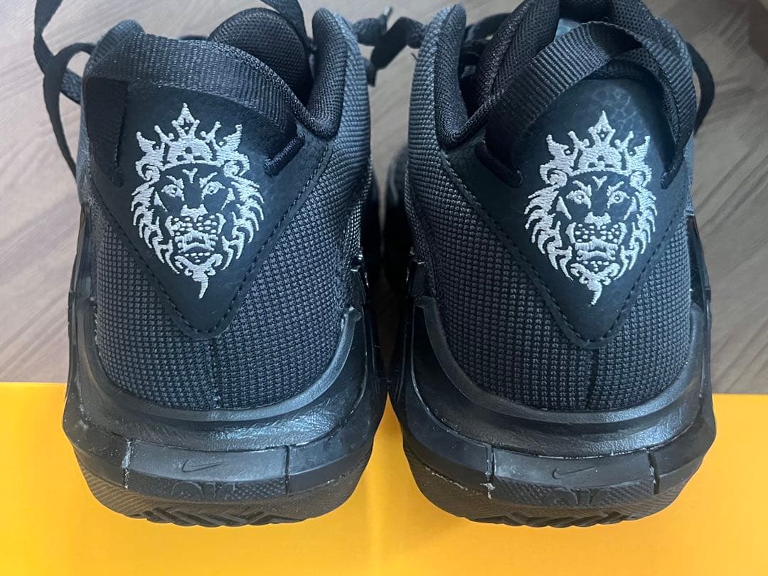 LEBRON WITNESS VII EP 25cm 美品