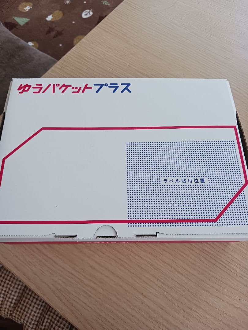 【美品】プリンスサングラス