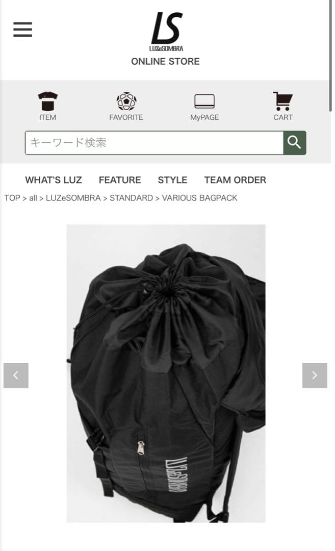 【お値下げ中】LUZeSOMBRA ブラックバックパック
