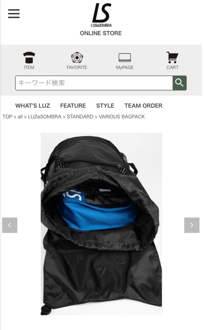 【お値下げ中】LUZeSOMBRA ブラックバックパック