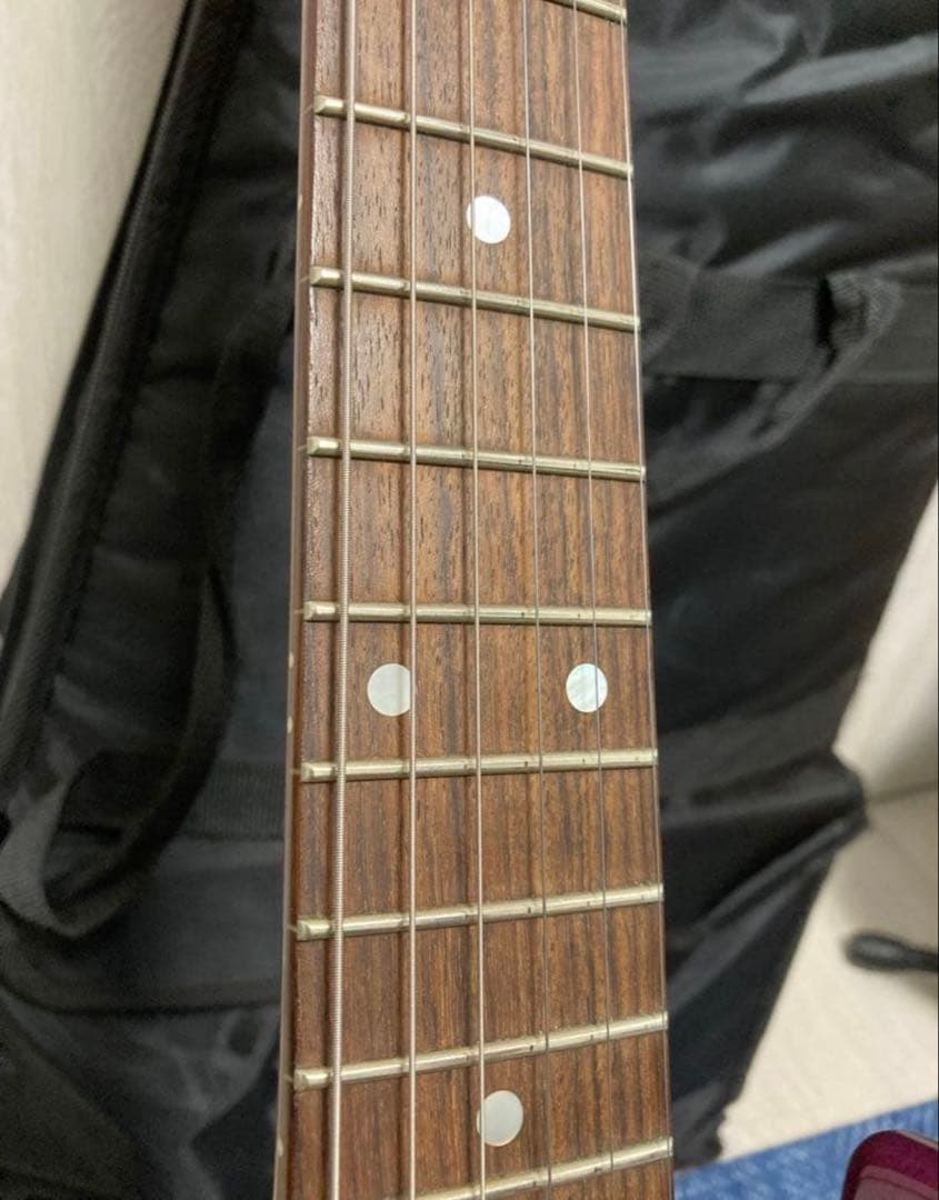 シェクター SCHECTER SD-2-24 エレキギター