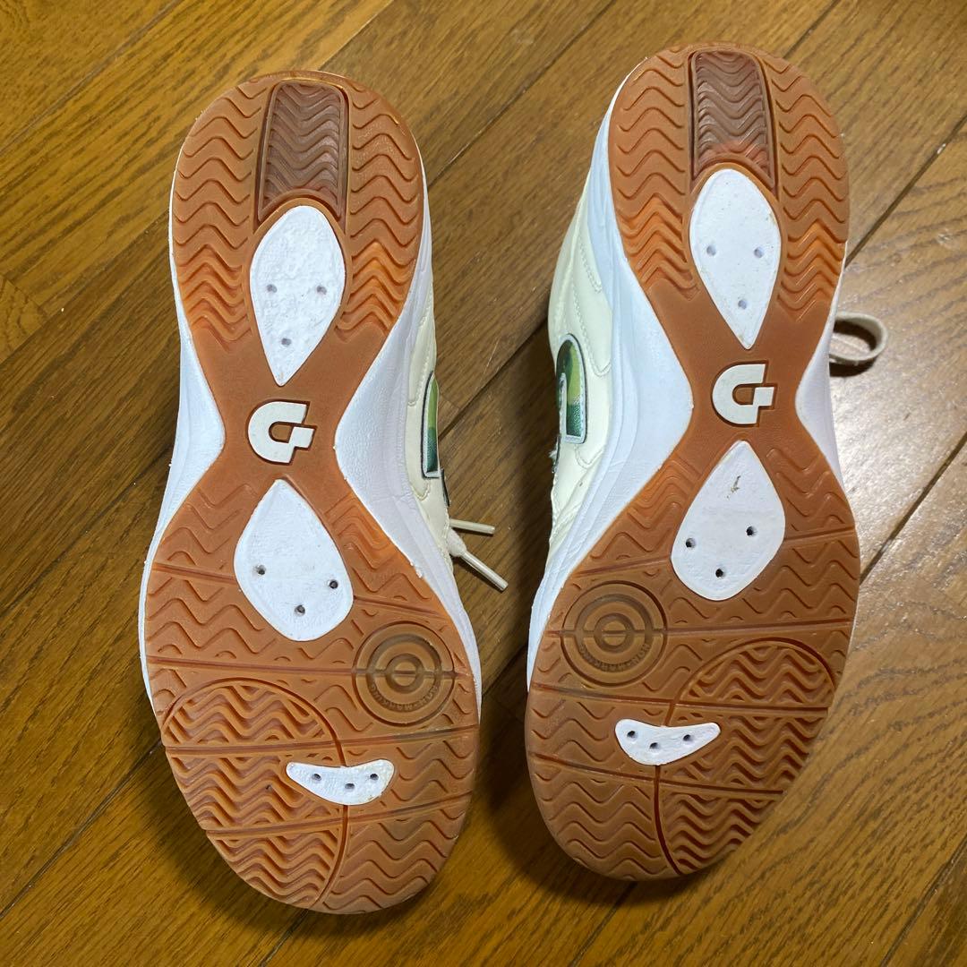 シューズ Desporte Tessa Light ID Pro2 24.5