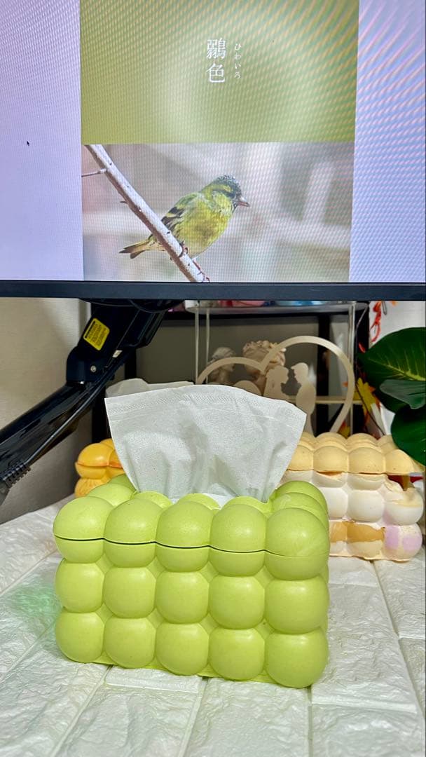 セール ジェスモナイト バブルデザイン ティッシュボックス tissue box