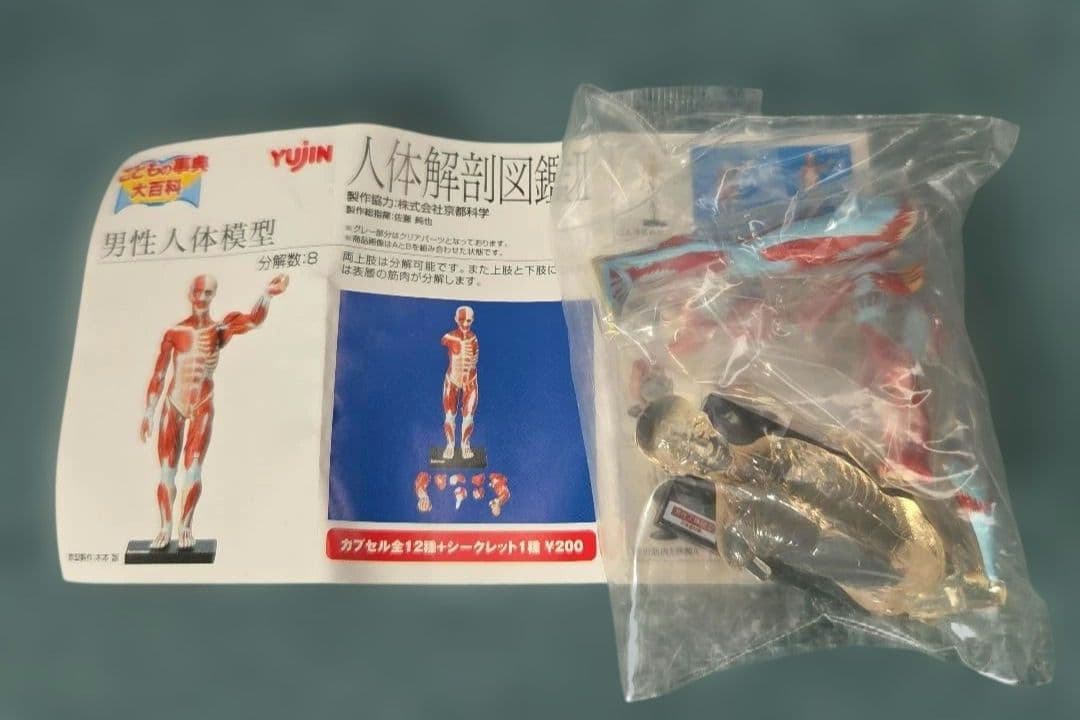 ユージン 人体解剖図鑑II 未開封 9種